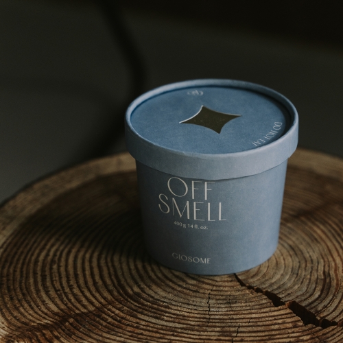 글로썸 무향 탈취제 400g (1개)