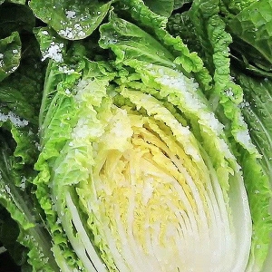 다온푸드 무주 절임배추 20kg