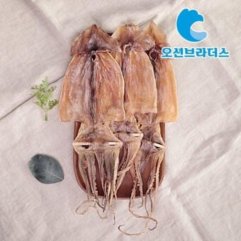 오션브라더스 고소한 건오징어 750g / 10마리