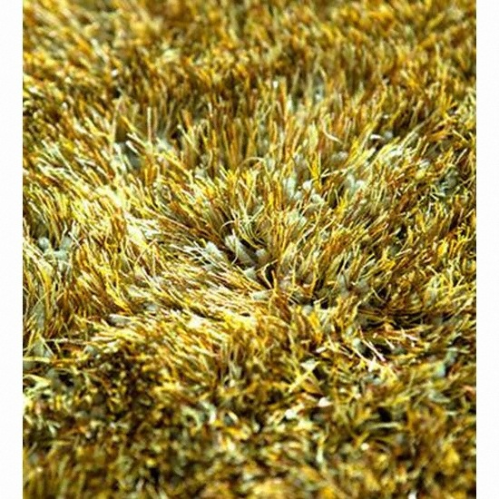 ����ī��Ʈ �ٹ̿� �ø���׸� ����ī��Ʈ