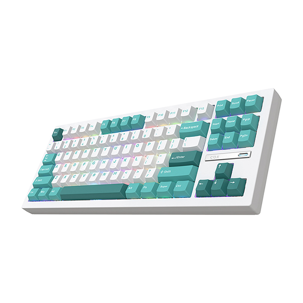 COX CK88 ������ ���� ��Ʈȭ��Ʈ