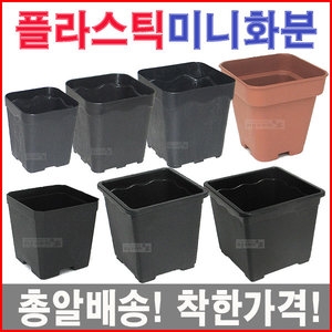 정사각미니화분/소형다육/블루베리/고무/플라스틱화분