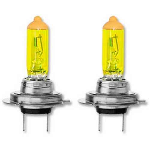 퍼펙트 골드 12V
