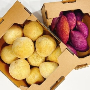GFresh ������ ���� ���ڻ�10P+��������10P ���� ���簣�Ļ�