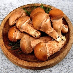 전남생산자협동조합 곡성 무농약 참송이 버섯 가정용 300g (1개)_이미지
