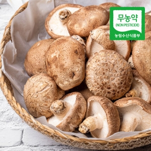 산지직송 논산 무농약 표고버섯 1kg 중품