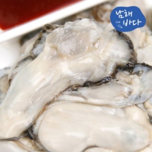 덕이네수산 남해안 생굴 1kg (1개)_이미지