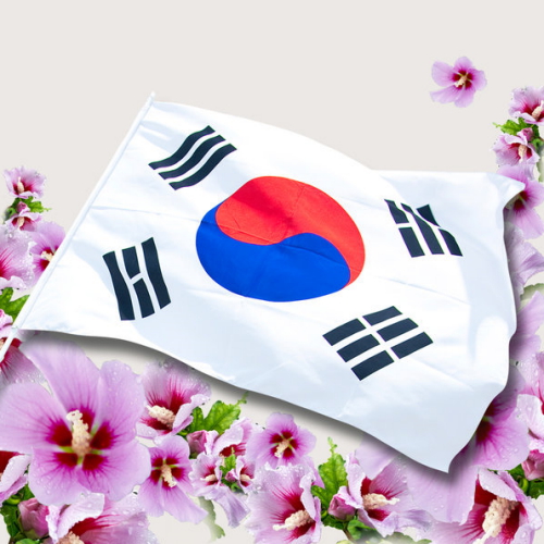 다다모아 ㅤ게양용 태극기 5호 180x120_이미지