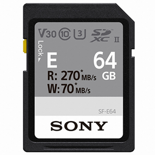 SONY SD E시리즈 2020 (64GB)