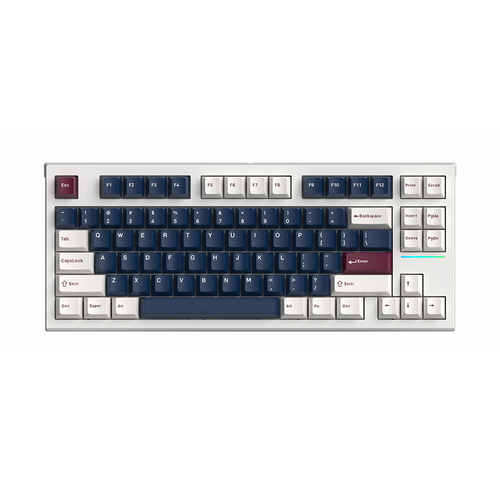 FL-ESPORTS FL750 CPM 유무선 기계식 메탈하트 (백축)