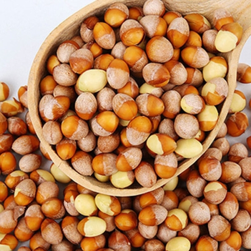 박경철농장 햇은행 1kg