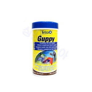 ��Ʈ�� ����Ǫ��