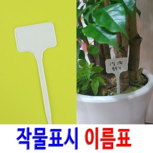 20P 수목 표찰 나무 이름표 꽃 식물 화분 라벨_이미지