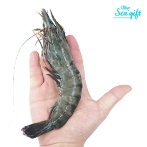 씨기프트 특A급 블랙타이거새우 8미 500g (1개)_이미지