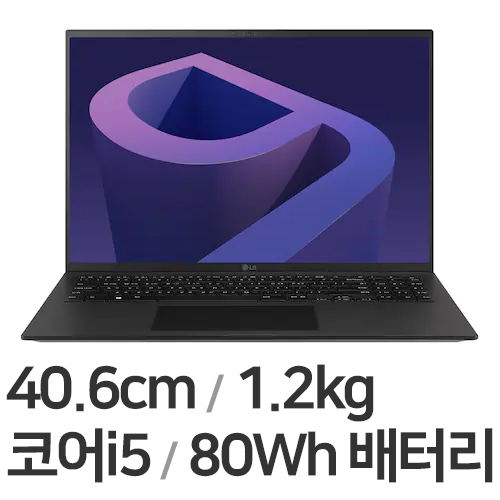 LG전자 2022 그램16(12세대) 16ZD90Q-GX5LK WIN11 (SSD 256GB)