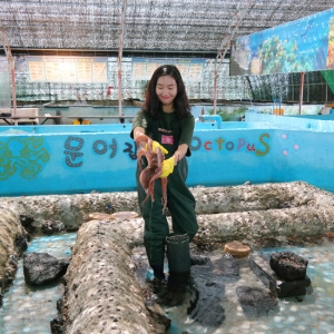 제주 바다체험장 (대인/소인공통)_이미지