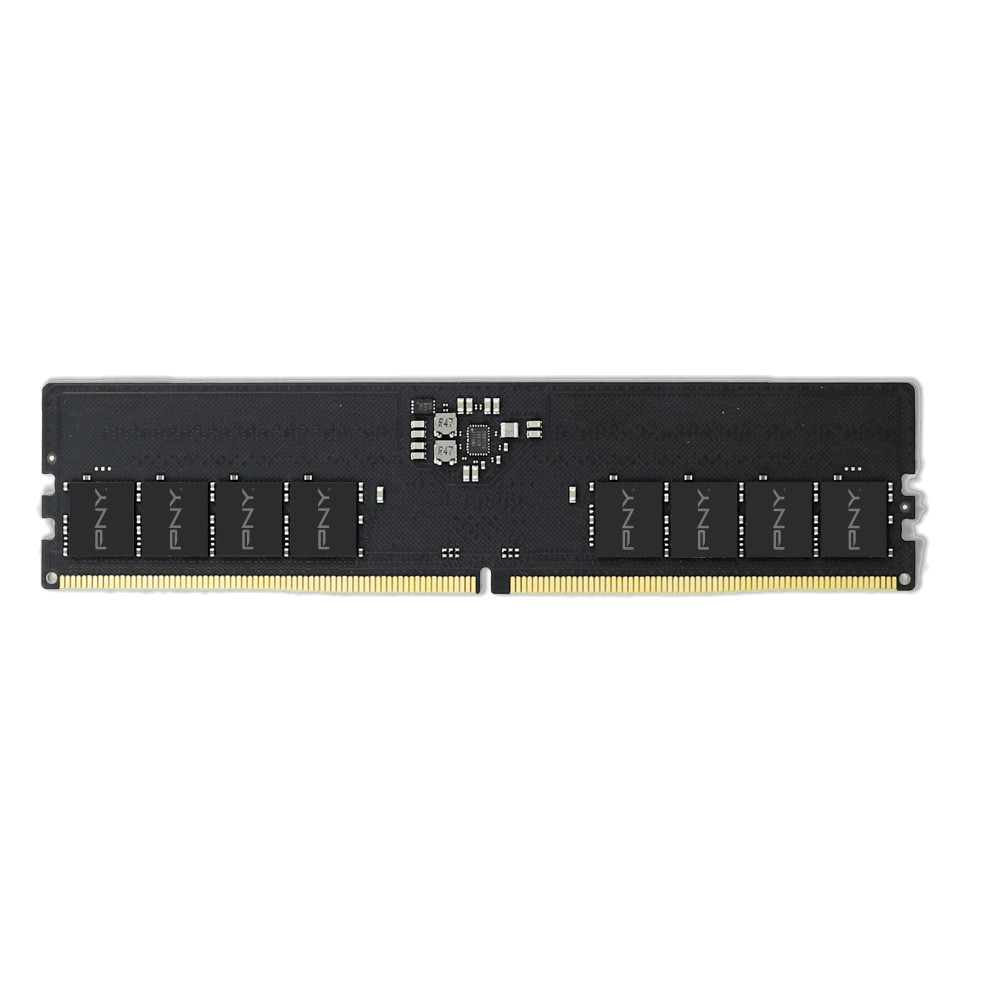 PNY DDR5-5600 CL40 Performance (16GB)