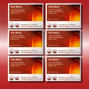 ���ͺ��� Ǫ�� �ֹ��� 600mg 30ĸ��