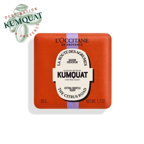 �Ͻö� 2024 Ȧ������ ����Ʈ ����Ʈ��-��Ʋ �� 50g