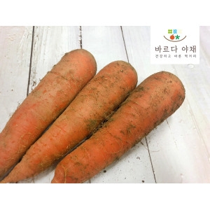 바르다야채 국내산 흙당근 특 10kg