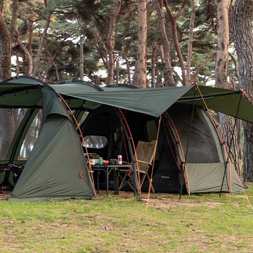 �ں��� ����Ʈ ���� īŰ