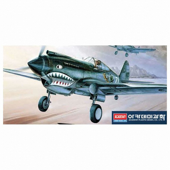 ��ī���̰��� 1/48 P-40C �丶ȣũ FI015