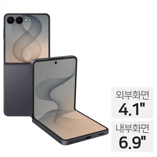 삼성전자 갤럭시Z 플립8 256GB, 자급제 (그라파이트)