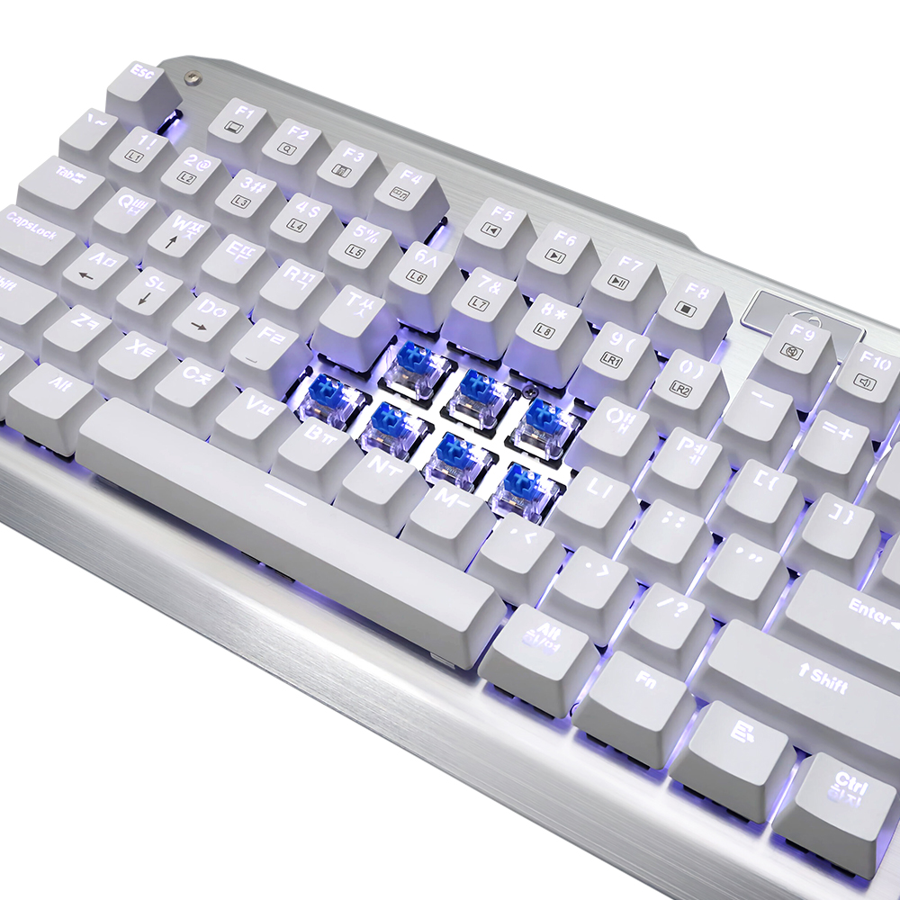 Team Scorpion PEGASUS Mechanical Keyboard (실버, 청축)_이미지