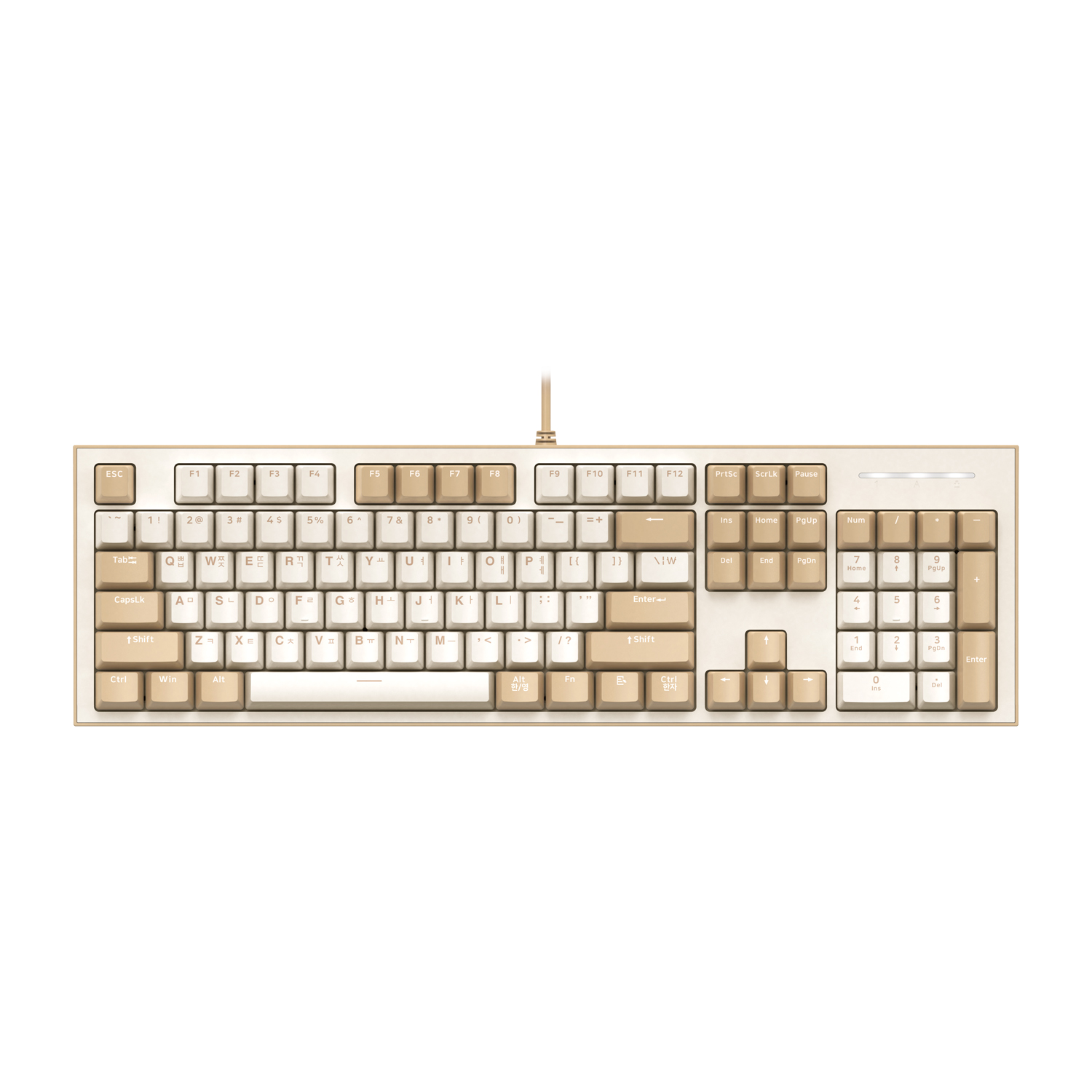 COX CK01 SAHARA HUANO ������ ���̹� ����