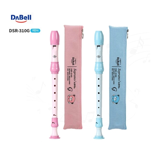 리코더 DSR-310G