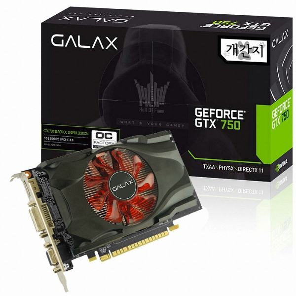 갤럭시 GALAX 지포스 GTX750 개간지 OC D5 1GB
