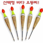  싸파오동찌