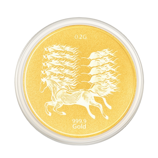 수앤진골드 마패 코인 골드바 0.2g_이미지