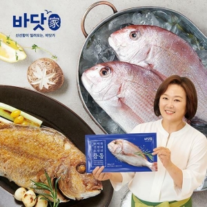 통영수산물시장 바닷가 국내산 자연산 반건조 참돔 300g (5개)_이미지