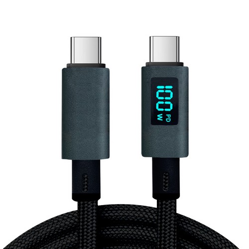 아이온코리아 BOSSWIZ PD PPS 100W C to C타입 디스플레이 케이블 (2m)_이미지