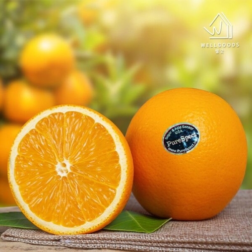 웰굿 퓨어스팩 블랙라벨 오렌지 개당180g내외 [26개]