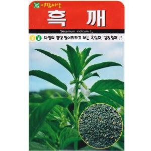 화분월드 화분월드 흑깨 씨앗  1000립