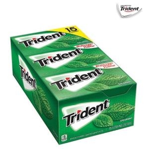 트라이던트 스피어민트 무설탕 껌 14개입_이미지