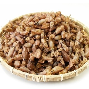 쪽빛누리 오징어 호래기 말린 참 꼴뚜기 국산 500g 쫄깃함_이미지