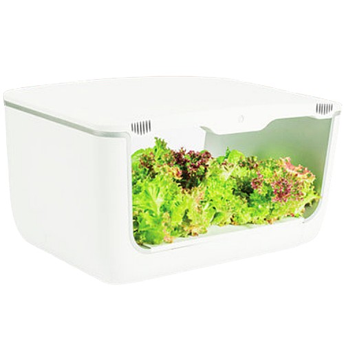 �̳��� PM-1100