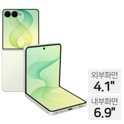 삼성전자 갤럭시Z 플립8 256GB, 자급제 (민트)