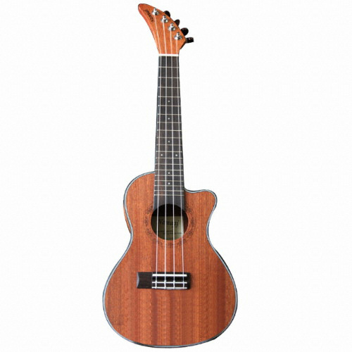 나무아이 ㅤNUC-300_이미지