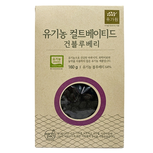 컬티베이티드 건블루베리[160g,1개]