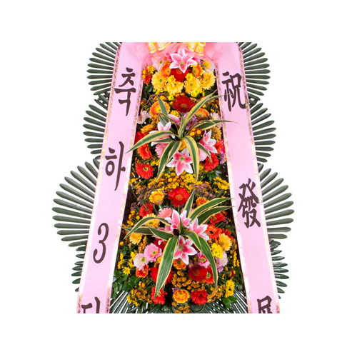 오만플라워 축하화환 (기본형)