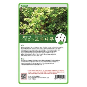 �ٳ� ������� ���� 50g