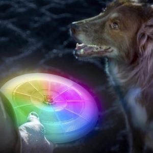 도그 디스켓 반려견 장난감 플라잉원반