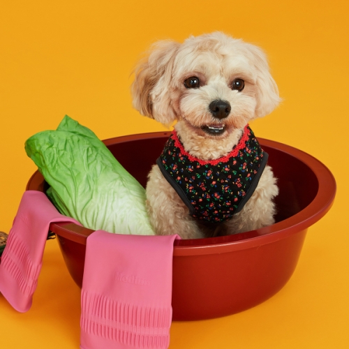 BYC 개리야스 김장조끼 (S~7XL)_이미지