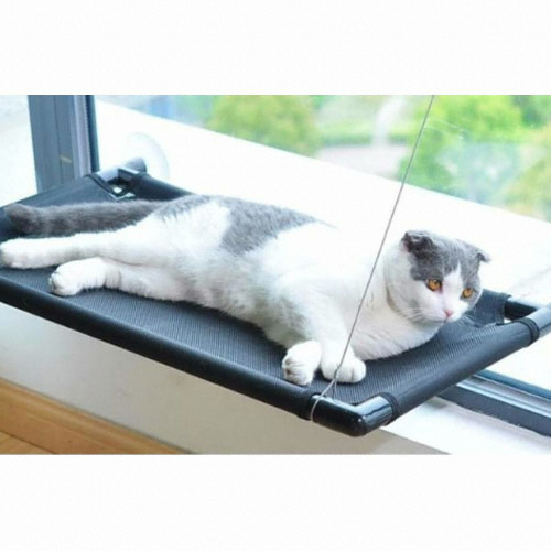 ㅤ고양이 흡착식 윈도우 해먹 메쉬_이미지