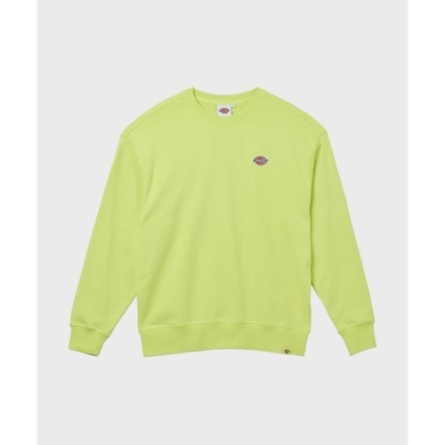 ��Ű�� ���� ǰ ����ġ �׸� �������� ���� �ڼ� �ΰ� ũ��� Daiquiri Green 121279