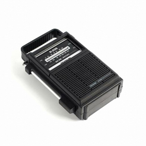TECSUN R-206